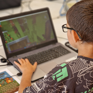 Minecraft Den