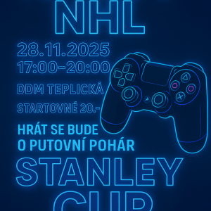 Turnaj v NHL