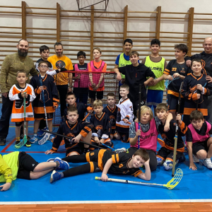 Přátelské utkání