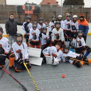 Hokejbalové zápasy